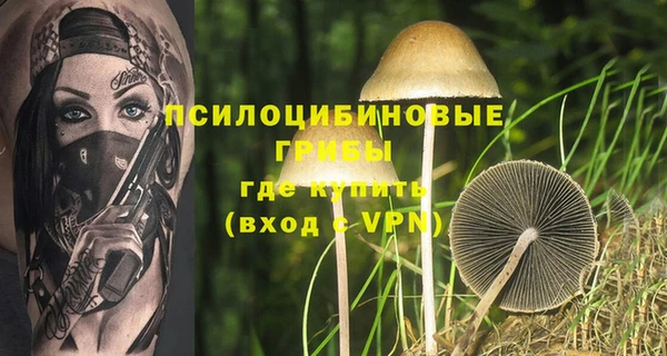 2c-b Горно-Алтайск