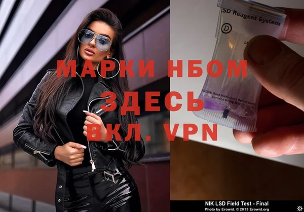 эйфоретик Вяземский