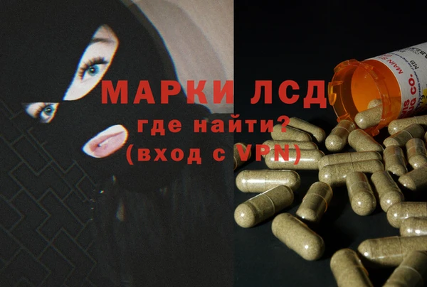 эйфоретик Вяземский