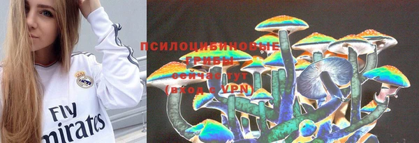 эйфоретик Вяземский