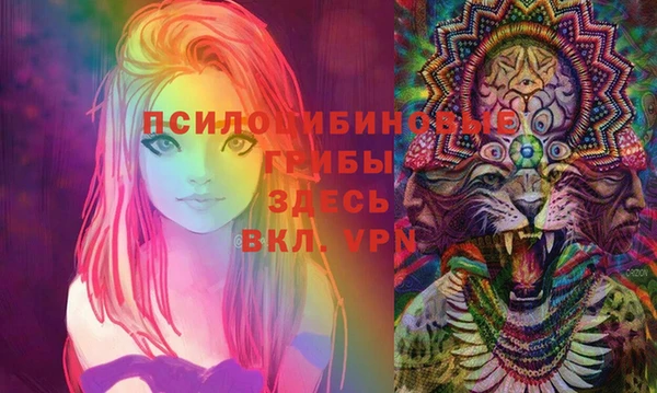 a pvp Вязьма