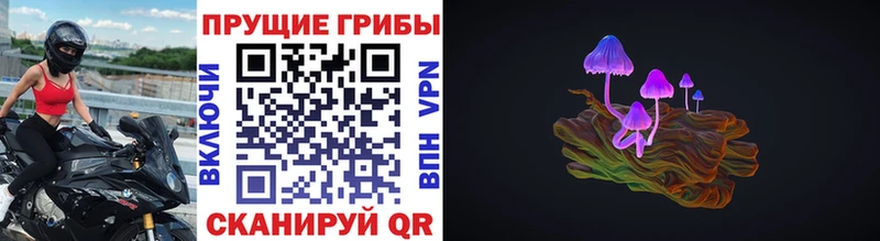 Купить где  Мегион  Псилоцибиновые грибы мицелий 